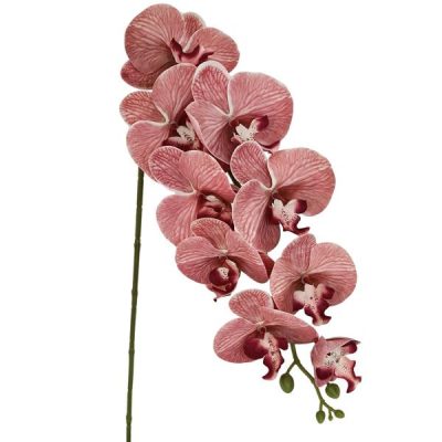 Allure Real Touch Artificial Phalaenopsis Orchid – 85Cml / Pink  |  Artificial Stems & Sprays Artificial Flowers Artificial Orchids