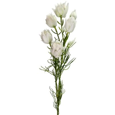 Artificial Blushing Bride Spray – 70Cml / White  |  Artificial Stems & Sprays Artificial Flowers Artificial Native Flowers