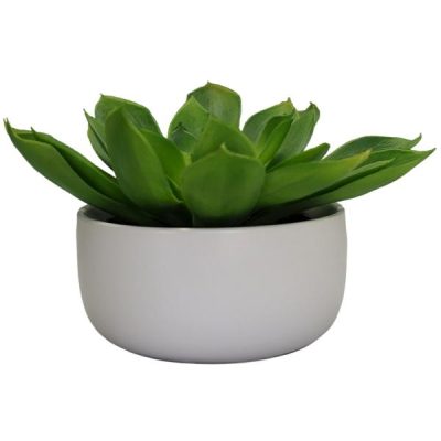 Artificial Echeveria In Matte White Ceramic Pot – 18.75Cmh X 27Cmd  |  Artificial Plants & Trees Artificial Plants & Trees Artificial Plants & Trees