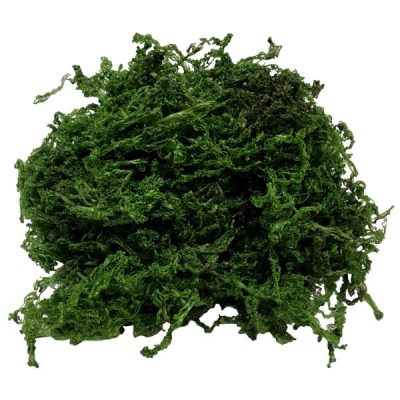 Artificial Green Moss – 50G Bag  |  Artificial Wall Panels Artificial Greenery Bushes Artificial Greenery Bushes