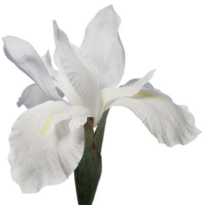 Artificial Iris Flower – 77Cml / White  |  Artificial Stems & Sprays Artificial Flowers Artificial Stems & Sprays