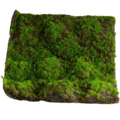 Artificial Moss Mat – 30Cm X 30Cm  |  Artificial Wall Panels Artificial Greenery Bushes Artificial Greenery Bushes