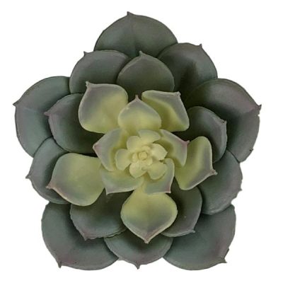 Artificial Pinwheel Succulent – 12Cmd / Blue/Green  |  Artificial Succulents Artificial Succulents Artificial Succulents