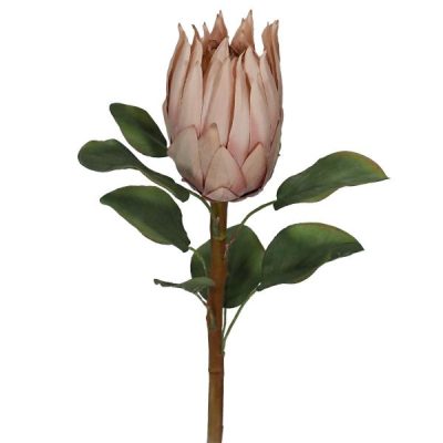 Artificial Protea – 68Cml / Dusty Pink  |  Artificial Stems & Sprays Artificial Flowers Artificial Native Flowers