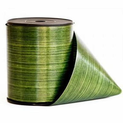 Aspidistra Pp Ribbon -100Mm X 40Mtr  |  Ribbon – Tear, Curling & Pull Bows Ribbon - Specialty Green