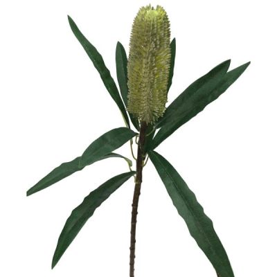 Banksia Stem – 62Cm / Green  |  Artificial Stems & Sprays Artificial Flowers Artificial Native Flowers