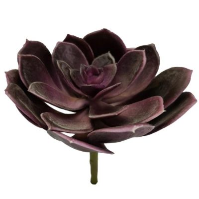 Black Prince Artificial Succulent 12.5Cmd / Purple  |  Artificial Succulents Greenery Artificial Succulents