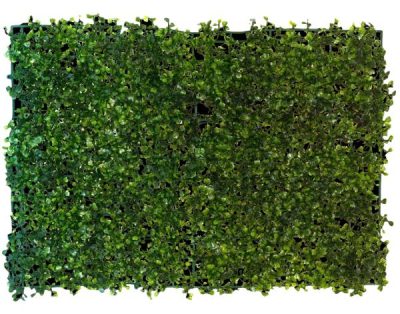 Boxwood Greenery Mat – 40Cm X 60Cm  |  Artificial Wall Panels Artificial Wall Panels Artificial Wall Panels