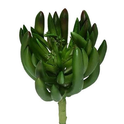 Chalk Stick Succulent – 17Cml / Green  |  Artificial Succulents Artificial Succulents Artificial Succulents