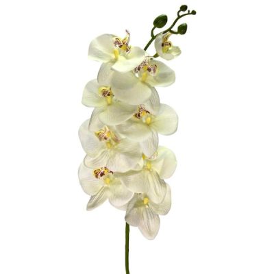 Cora Artificial Phalaenopsis Orchid Stem – 100Cm / Cream  |  Artificial Orchids Artificial Flowers Artificial Orchids