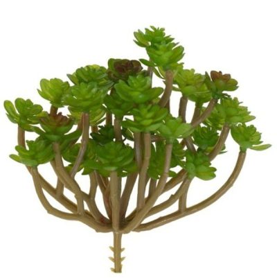 Dwarf Rosette Bush X 32 – 15Cm  |  Artificial Succulents Artificial Succulents Artificial Succulents