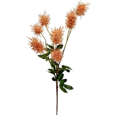 Frosted Sea Urchin Spray – 70Cml / Peach  |  Artificial Stems & Sprays Artificial Flowers Artificial Stems & Sprays