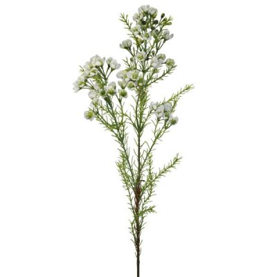 Geraldton Wax Flower Spray – 80Cml / White  |  Artificial Native Flowers Artificial Flowers Artificial Native Flowers