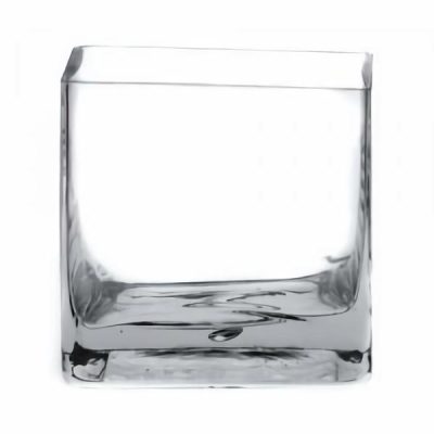 Glass Cube Vase – 10Cm X 10Cm X 10Cmh / Clear  |  Glass Square Shape Vases Glass Square Shape Vases Glass Square Shape Vases