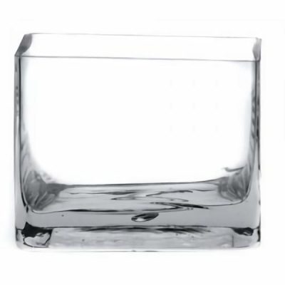 Glass Cube Vase – 12Cm X 12Cm X 12Cmh / Clear  |  Glass Square Shape Vases Glass Square Shape Vases Glass Square Shape Vases