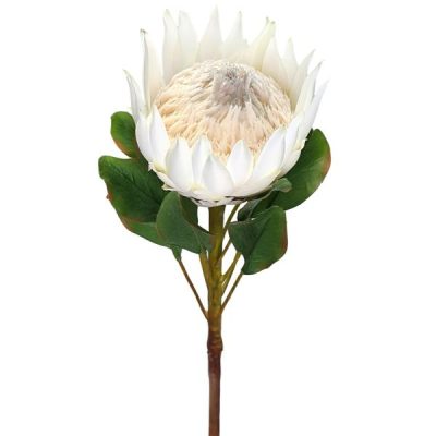 King Protea – 71Cm / White  |  Artificial Native Flowers Artificial Flowers Artificial Native Flowers