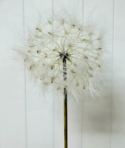 Large Artificial Dandelion Flower – 80Cml  |  Artificial Stems & Sprays Artificial Flowers Artificial Stems & Sprays