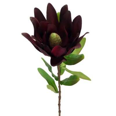 Leucadendron – 57.5Cm / Burgundy  |  Artificial Stems & Sprays Artificial Flowers Artificial Native Flowers