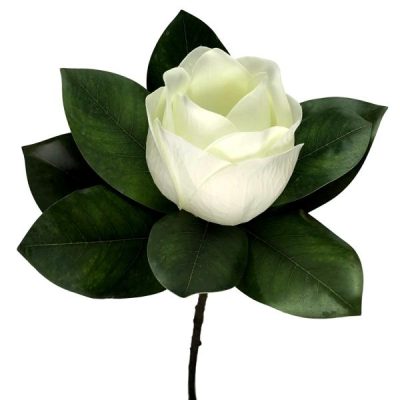 Majestic Magnolia Stem – 69Cm / White  |  Artificial Stems & Sprays Artificial Flowers Artificial Stems & Sprays