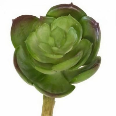 Mini Rosette Succulent – 14Cm / Green  |  Artificial Succulents Artificial Succulents Artificial Succulents