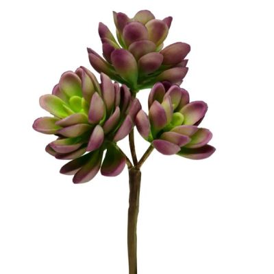 Oros Artificial Succulent – 20Cml / Purple  |  Artificial Succulents Artificial Succulents Artificial Succulents