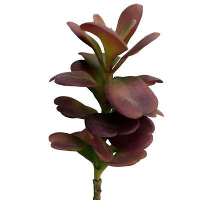 Pagoda Succulent – 24Cml / Burgundy  |  Artificial Succulents Artificial Succulents Artificial Succulents