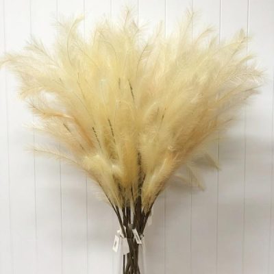 Pampas Grass – 98Cml / Champagne  |  Artificial Stems & Sprays Artificial Flowers Artificial Stems & Sprays