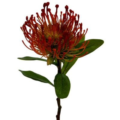 Pincushion Protea – 42.5Cm / Red  |  Artificial Native Flowers Artificial Flowers Artificial Native Flowers