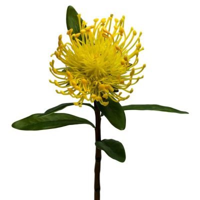 Pincushion Protea – 42.5Cm / Yellow  |  Artificial Native Flowers Artificial Flowers Artificial Native Flowers