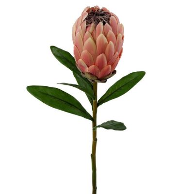 Pink Ice Protea – 58Cml / Dark Pink  |  Artificial Native Flowers Artificial Flowers Artificial Native Flowers