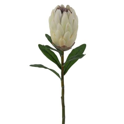 Pink Ice Protea – 58Cml / White  |  Artificial Native Flowers Artificial Flowers Artificial Native Flowers