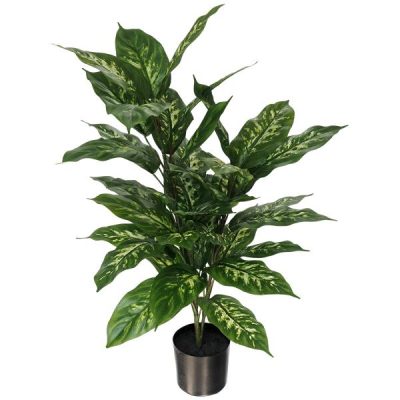 Potted Artificial Dieffenbachia Plant W/40 Leaves – 75Cmh  |  Artificial Plants & Trees Artificial Plants & Trees Artificial Plants & Trees