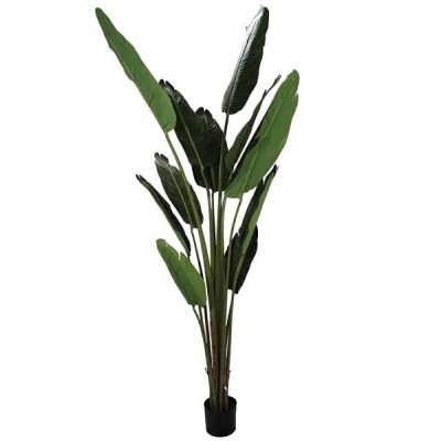 Potted Artificial Strelitzia Plant – 182Cmh  |  Artificial Plants & Trees Artificial Plants & Trees Artificial Plants & Trees