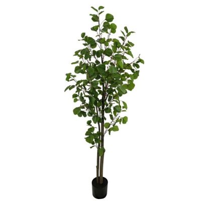 Potted Eucalyptus Tree – 152Cmh  |  Artificial Plants & Trees Artificial Plants & Trees Artificial Plants & Trees