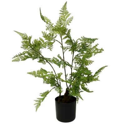 Potted Lace Fern – 60Cmh / Green  |  Artificial Plants & Trees Artificial Plants & Trees Artificial Plants & Trees