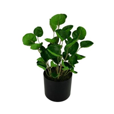 Potted Money Pocket Plant – 28Cmh  |  Artificial Plants & Trees Artificial Plants & Trees Artificial Plants & Trees