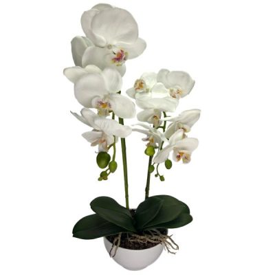 Potted Orchid X 2 – 50Cm / White  |  Artificial Plants & Trees Greenery Artificial Plants & Trees