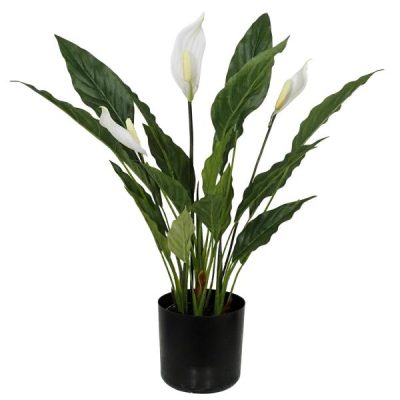 Potted Peace Lily Plant (Spathiphyllum) – 52Cmh  |  Artificial Plants & Trees Artificial Plants & Trees Artificial Plants & Trees