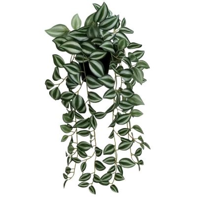 Potted Wandering Jew Hanging Bush – 52.5Cm / Green/Silver  |  Artificial Plants & Trees Artificial Hanging Greenery Artificial Hanging Greenery