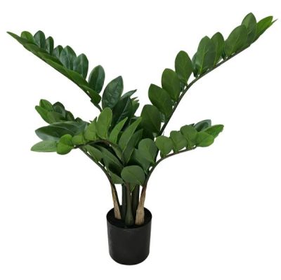 Potted Zanzibar Gem Plant – 70Cmh  |  Artificial Plants & Trees Artificial Plants & Trees Artificial Plants & Trees