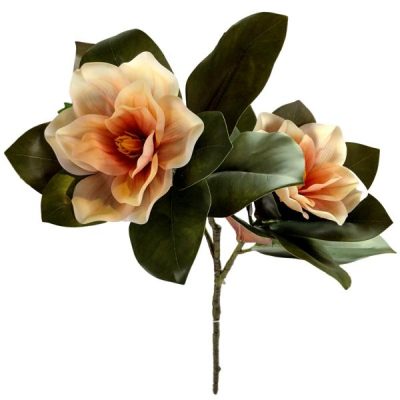 Real Touch Artificial Magnolia Spray – 80Cm / Cream/Peach  |  Artificial Stems & Sprays Artificial Stems & Sprays