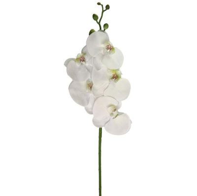 Real Touch Orchid Stem – 85Cml / White  |  Artificial Orchids Artificial Flowers Artificial Orchids