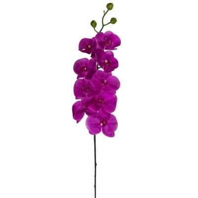 Real Touch Phalaenopsis Orchid X 9 – 100Cm L / Purple  |  Artificial Orchids Artificial Flowers Artificial Orchids