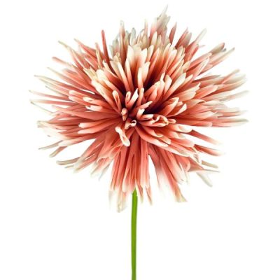 Real Touch Spider Mum – 67Cm / Peach  |  Artificial Stems & Sprays Artificial Flowers Artificial Stems & Sprays