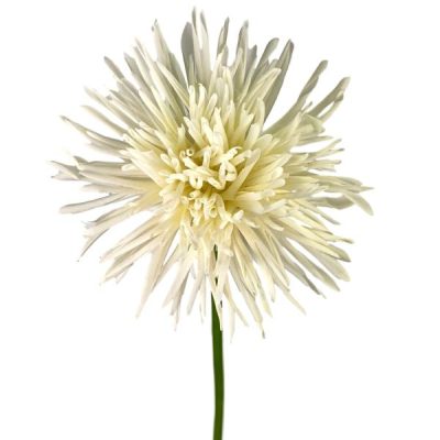 Real Touch Spider Mum – 67Cm / White  |  Artificial Stems & Sprays Artificial Flowers Artificial Stems & Sprays