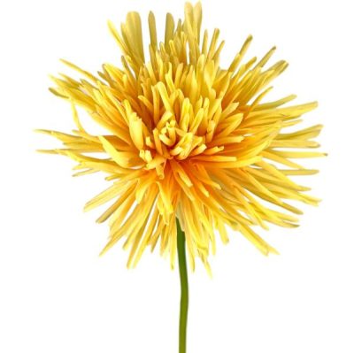 Real Touch Spider Mum – 67Cm / Yellow  |  Artificial Stems & Sprays Artificial Flowers Artificial Stems & Sprays