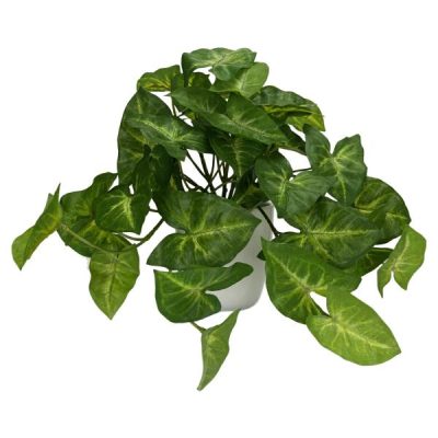 Real Touch Syngonium Trailing Plant In White Pot – 21Cmh  |  Artificial Plants & Trees Artificial Plants & Trees Artificial Plants & Trees