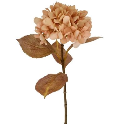 Romance Artificial Hydrangea – 65Cml / Nude  |  Artificial Hydrangeas Artificial Flowers Artificial Hydrangeas