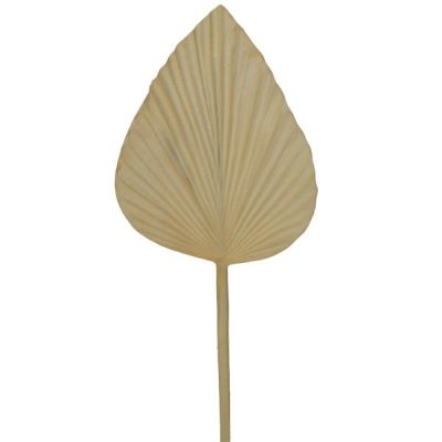 Small Dried Look Solid Spear Palm Leaf – 56Cml / White (Cream Toned White)  |  Artificial Leaves Artificial Leaves Artificial Leaves