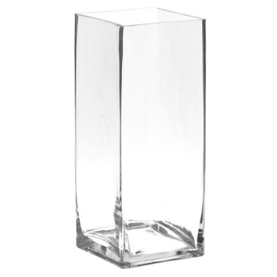 Tall Square Vase – 10Cm X 10Cm X 25Cmh / Clear  |  Glass Square Shape Vases Vases Glass Square Shape Vases